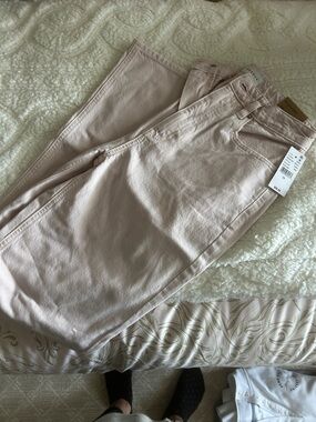 PacSun Wide Leg Pants in Light Blush